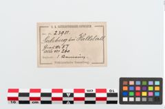 Etiketten zu Bronzearmreif (NHMW-PRAE-023951)